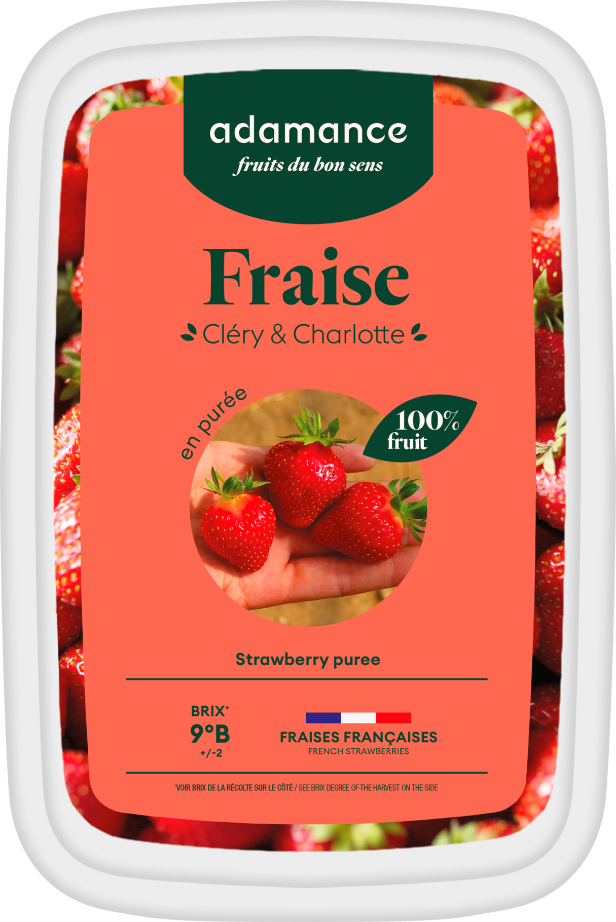 Facing-Fraise_Clery_Charlotte