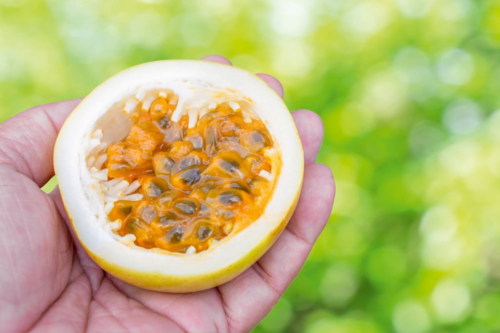 _Half passion fruit in hand on white background copie