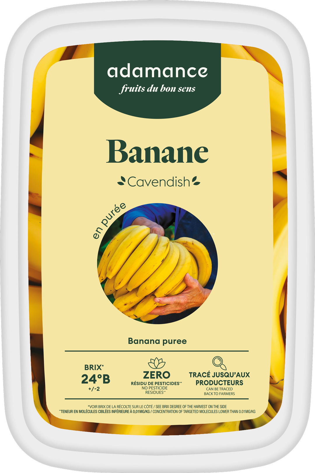 Purée de banane surgelée pour les professionnels adamance